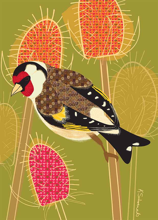 KS2 – zAnimal Illustrations – Songbirds, English Goldfinch © Kris Schwenck