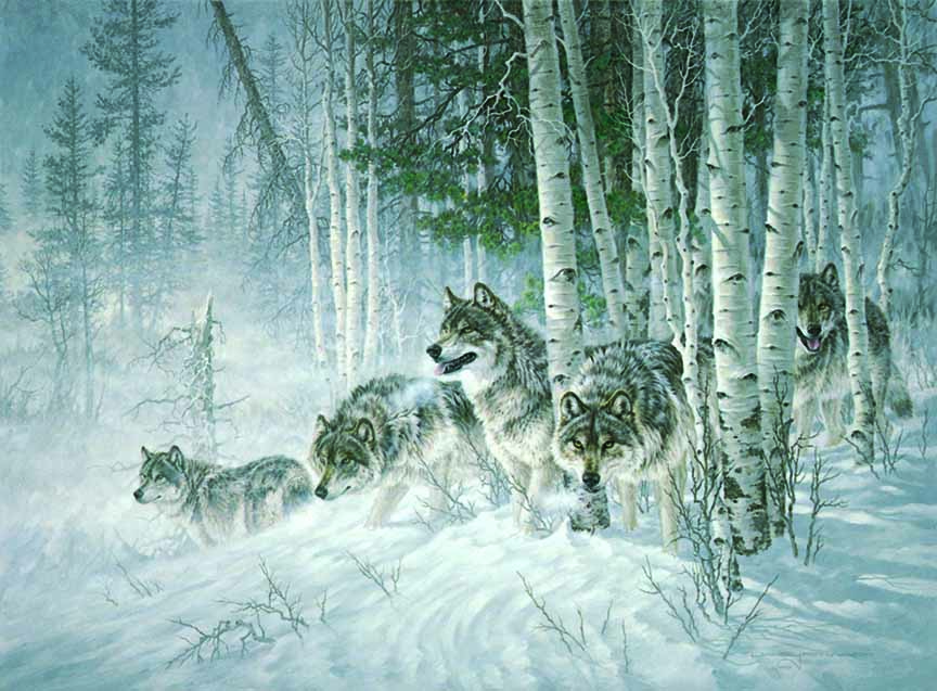 LF – Wildlife – A Shift in the Wind © Larry Fanning