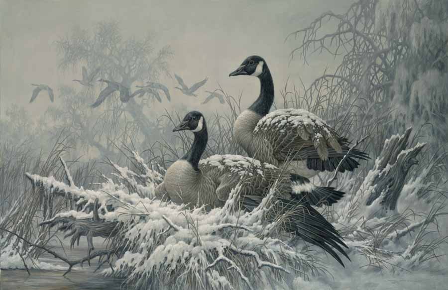 LF – Wildlife – April Snow © Larry Fanning