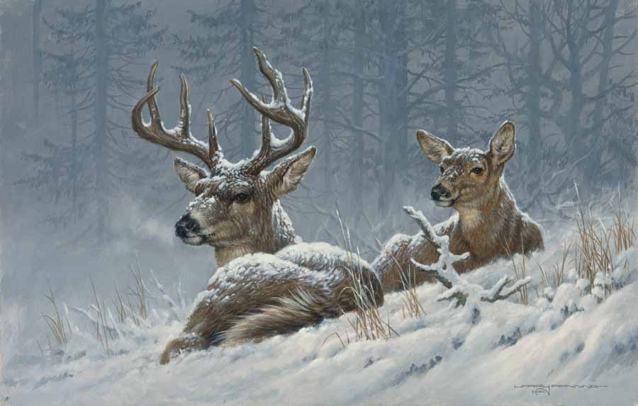 LF – Wildlife – Bedded Down © Larry Fanning