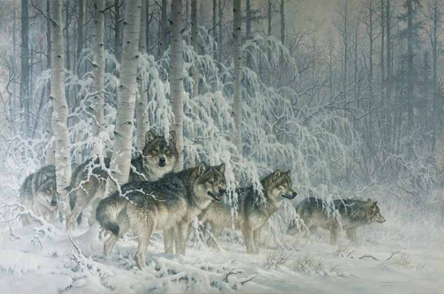 LF – Wildlife – Crystal Forest © Larry Fanning