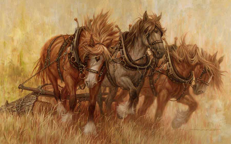 LF – Wildlife – Earning Their Oats © Larry Fanning