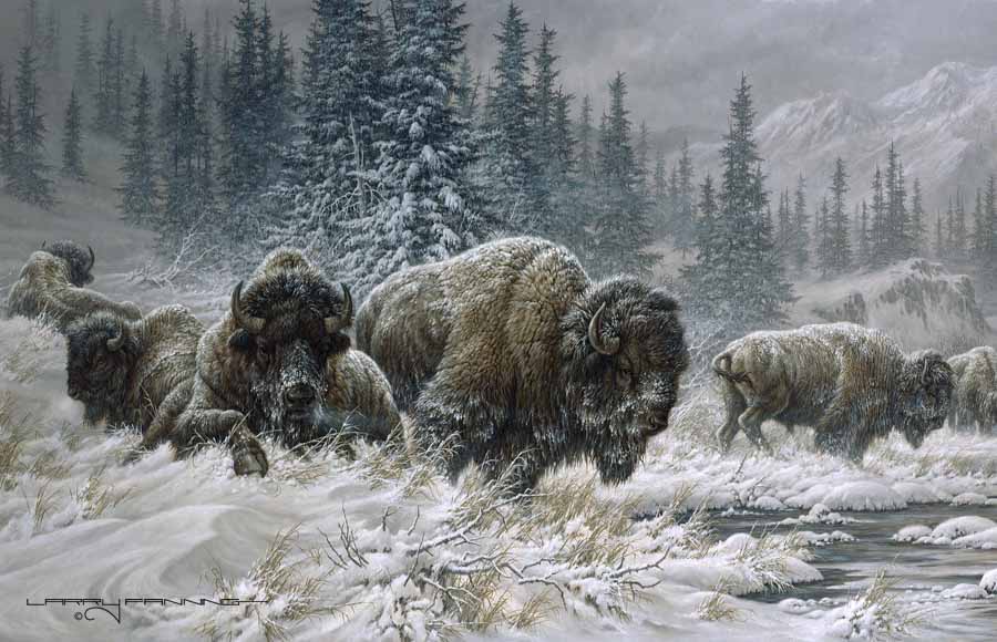LF – Wildlife – Front Range Storm © Larry Fanning