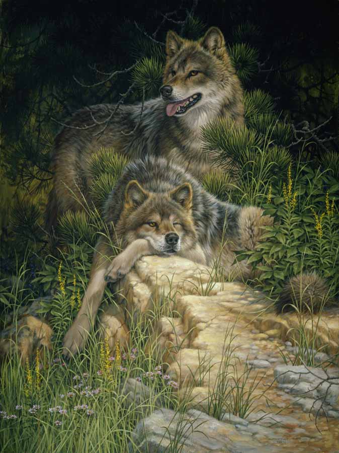 LF – Wildlife – Hearts Wild and Free © Larry Fanning