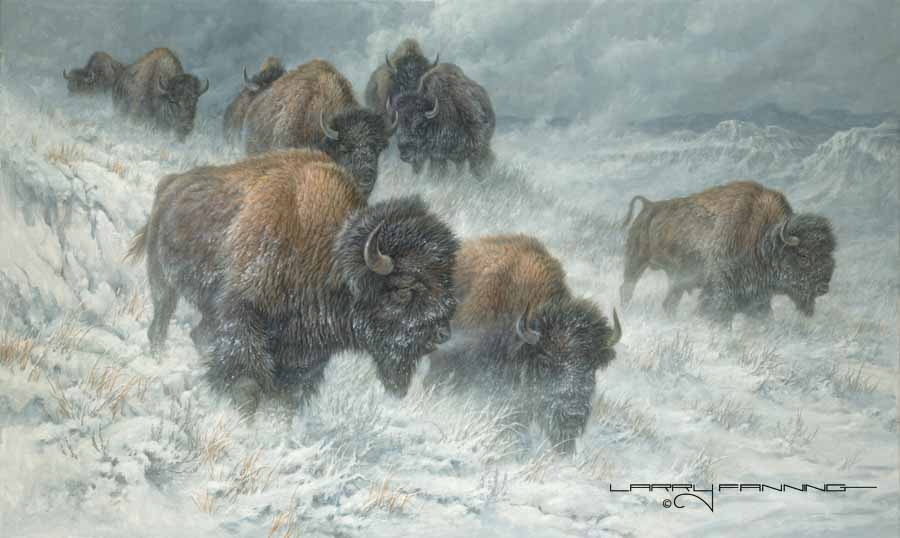 LF – Wildlife – Montana Wind © Larry Fanning