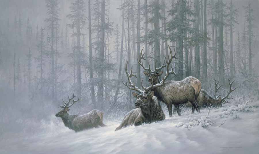 LF – Wildlife – Mountain Majesty © Larry Fanning
