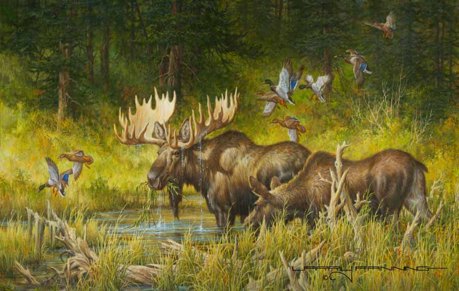 LF – Wildlife – October Rendezvous crop © Larry Fanning