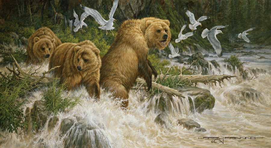 LF – Wildlife – Waiting For Salmon © Larry Fanning