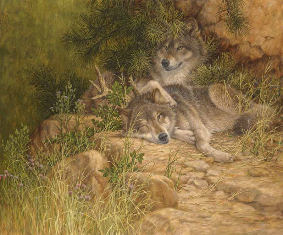 LF – Wildlife – Wilderness Soul Mates © Larry Fanning