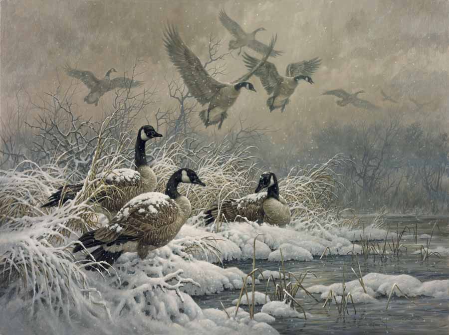 LF – Wildlife – Winter Retreat © Larry Fanning