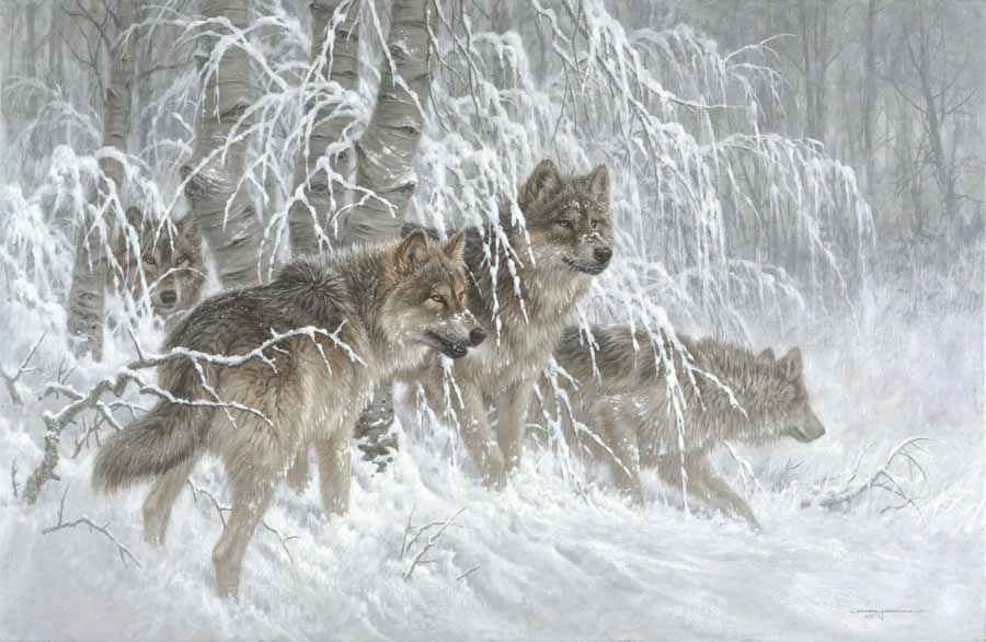 LF – Wildlife – Wolves Frontier © Larry Fanning