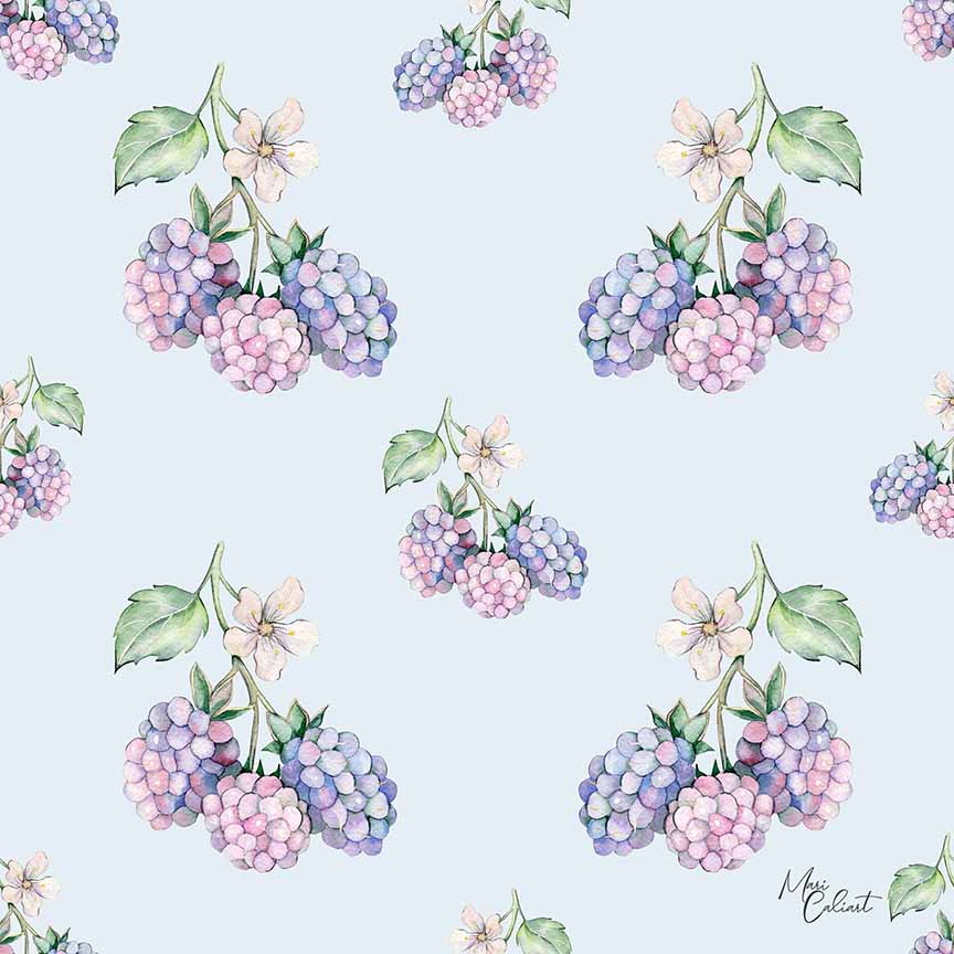 MC – Berry Hedgehog Collection 1103bs © Mari Caliart