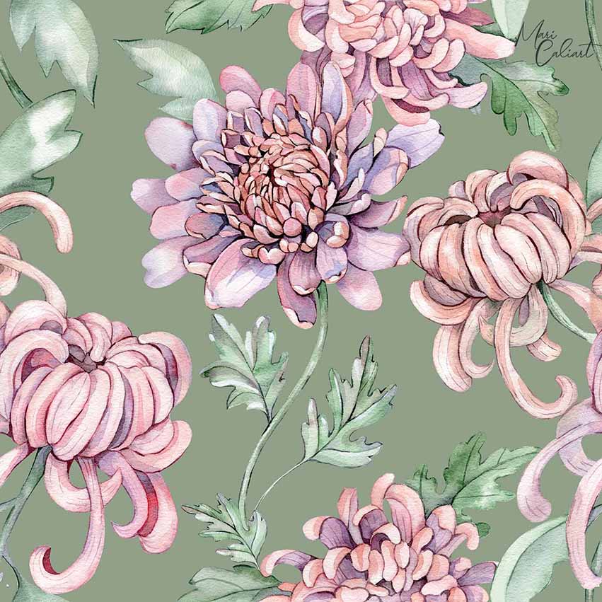 MC – Chrysanthemum Collection 0203bs © Mari Caliart