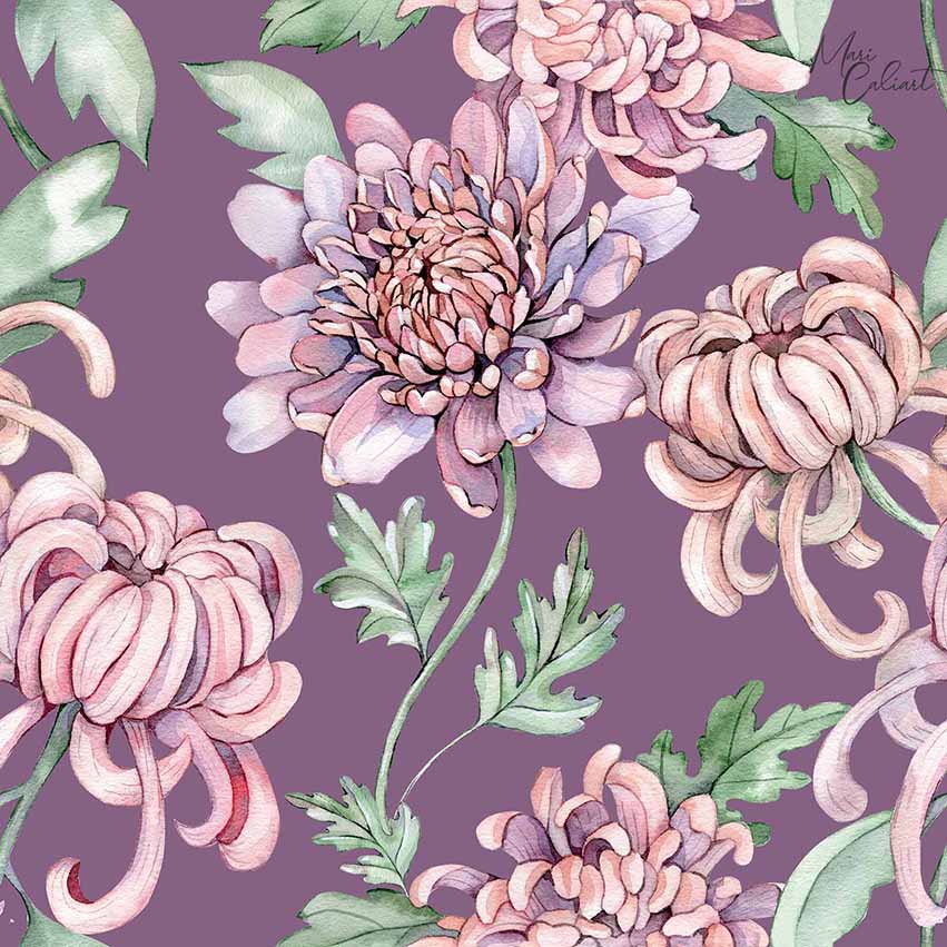 MC – Chrysanthemum Collection 0203cs © Mari Caliart