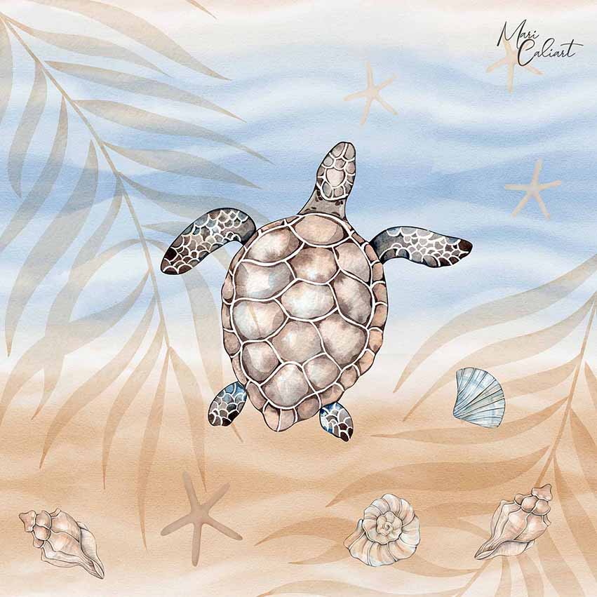 MC – Coastal Collection 2201b © Mari Caliart