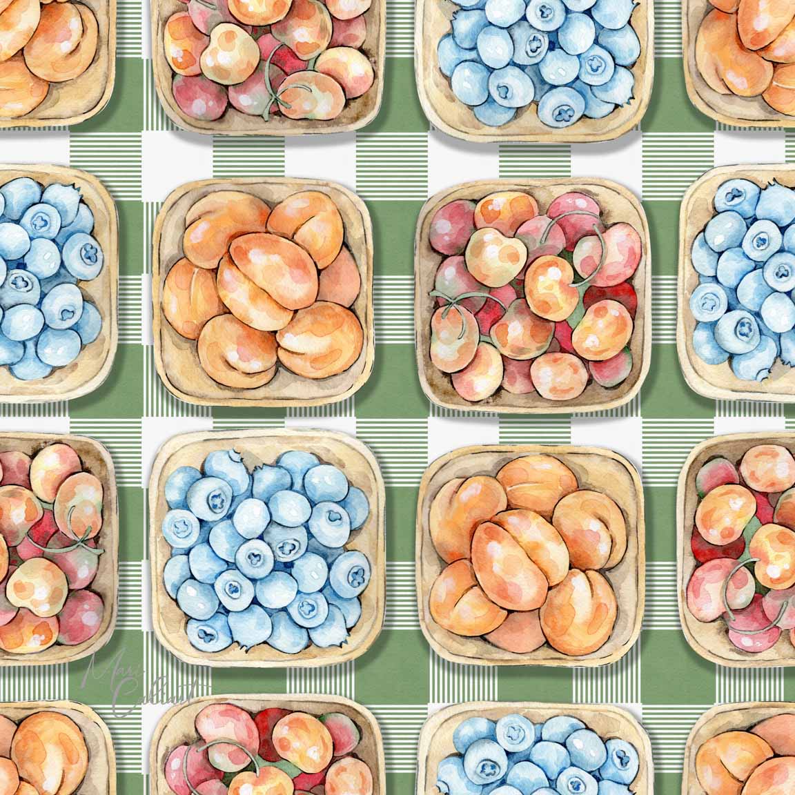 MC – Farmers Market Collection 2900as © Mari Caliart