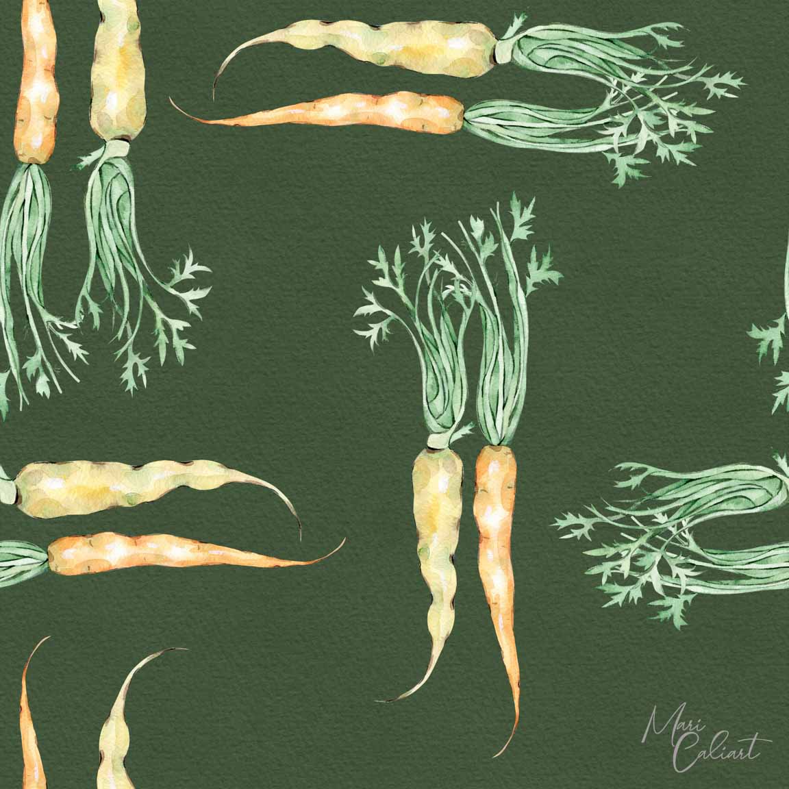 MC – Farmers Market Collection 2902bs © Mari Caliart