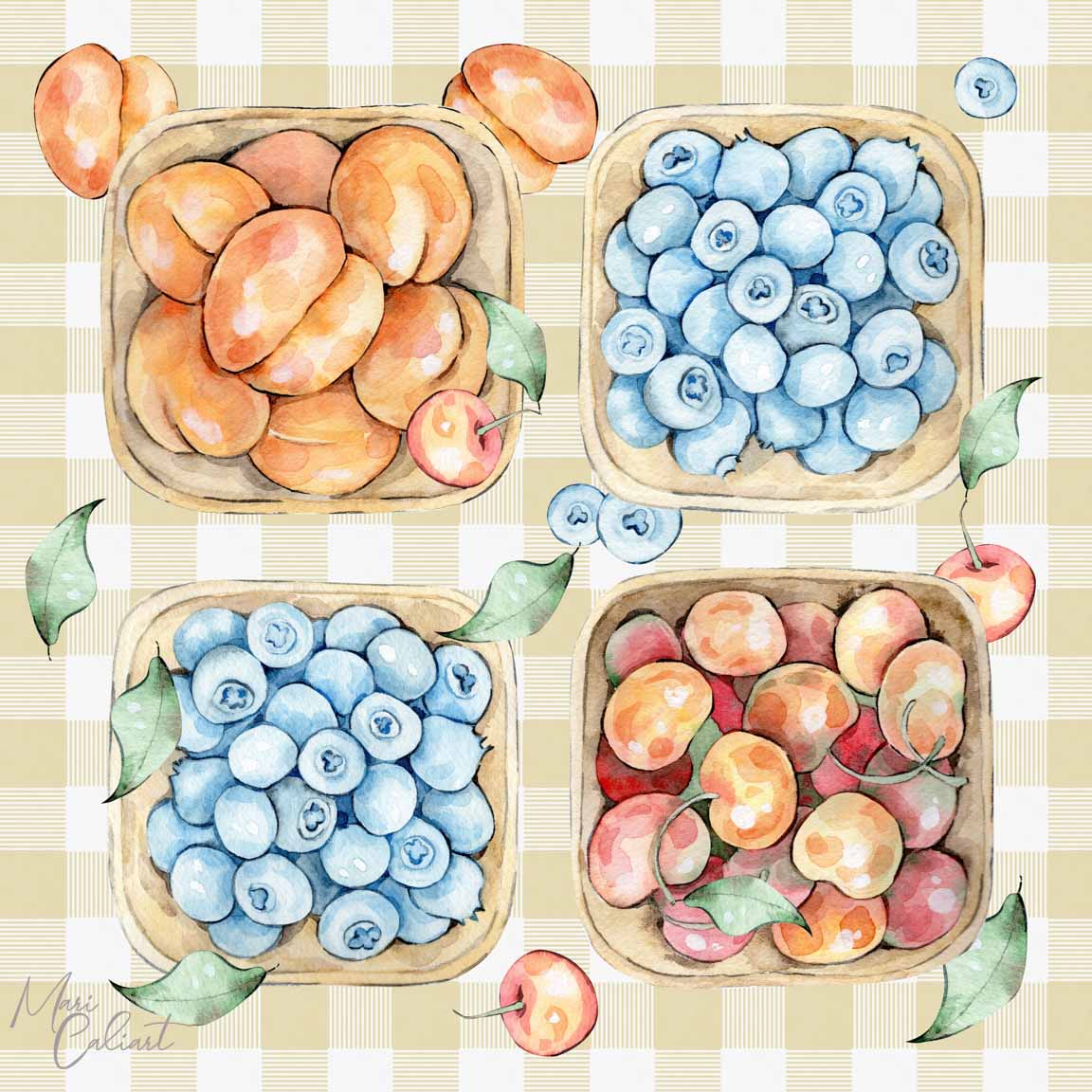 MC – Farmers Market Collection 2913a © Mari Caliart
