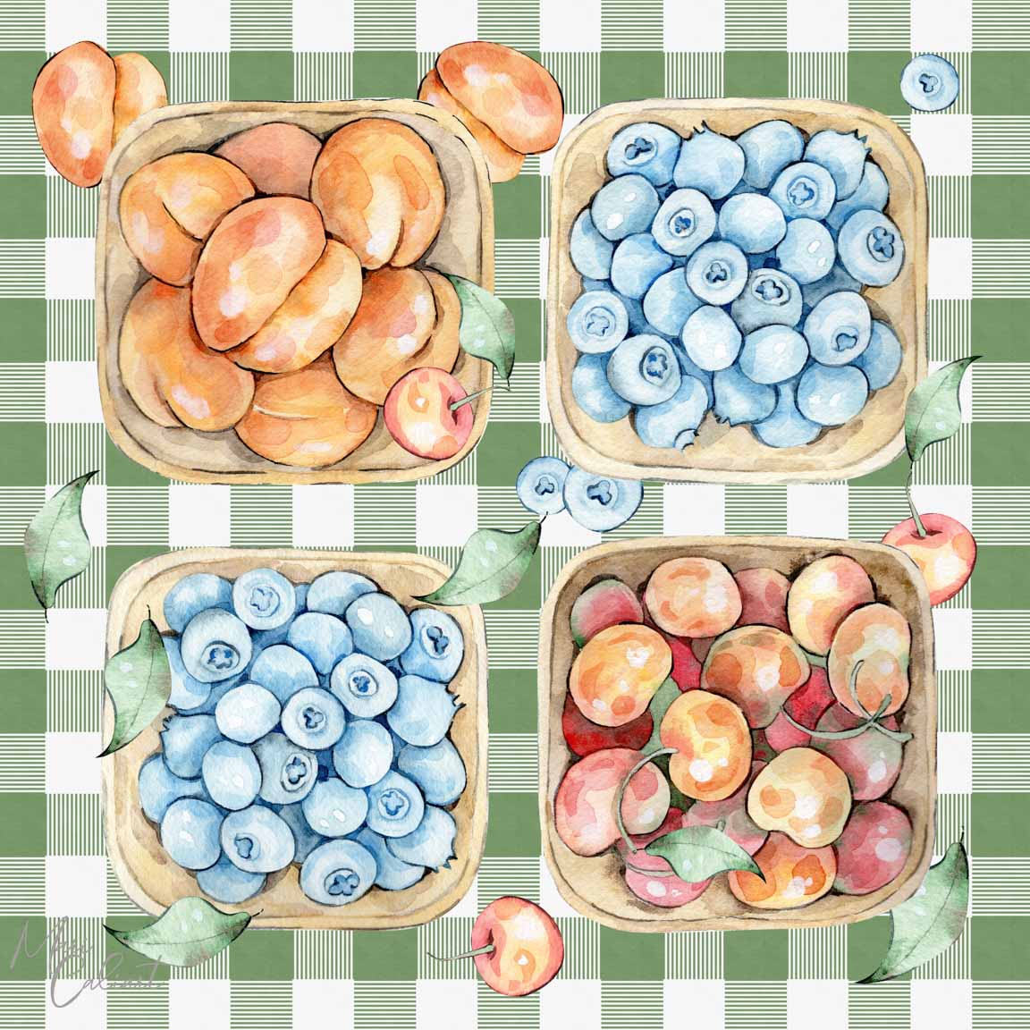 MC – Farmers Market Collection 2913b © Mari Caliart