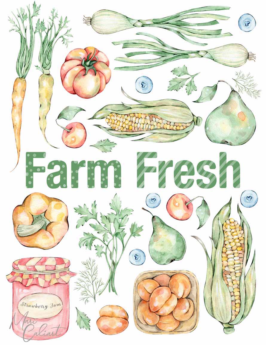 MC – Farmers Market Collection 2915a © Mari Caliart