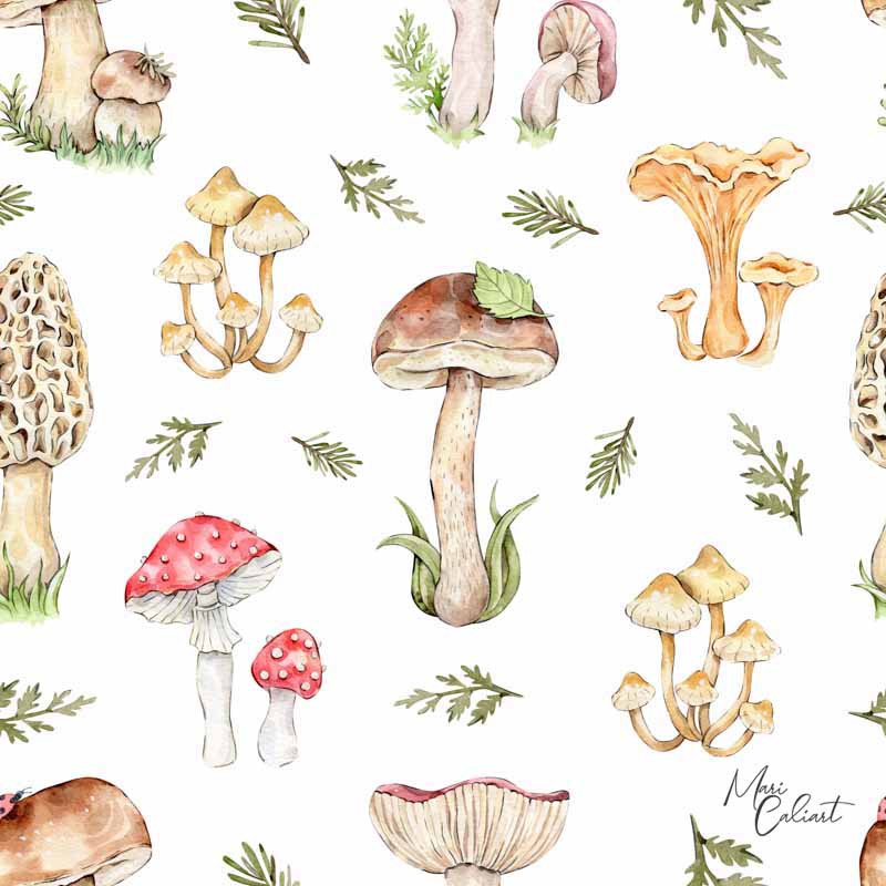 MC – Forest Creatures Collection 2714as © Mari Caliart