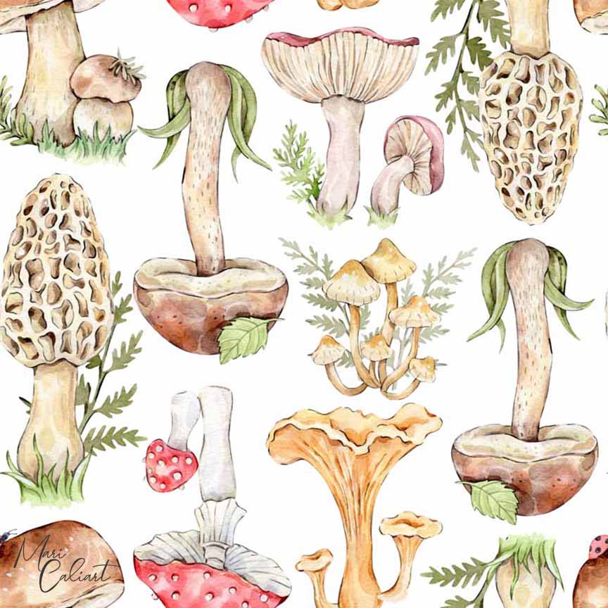 MC – Forest Creatures Collection 2717as © Mari Caliart