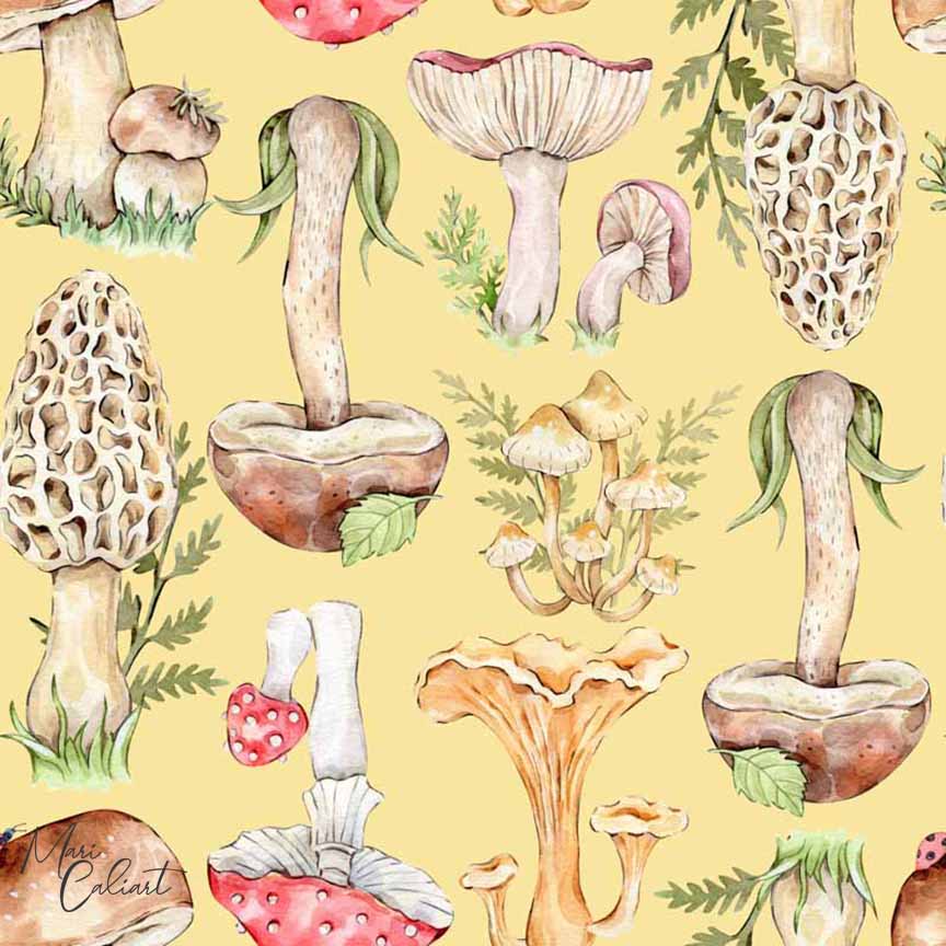 MC – Forest Creatures Collection 2717bs © Mari Caliart