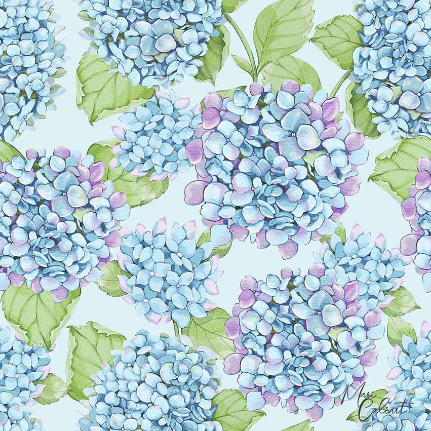 MC – Hydrangea and Iris Collection 2101bs © Mari Caliart