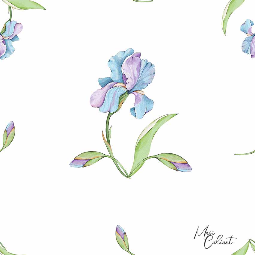 MC – Hydrangea and Iris Collection 2102as © Mari Caliart