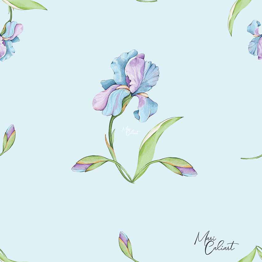 MC – Hydrangea and Iris Collection 2102bs © Mari Caliart