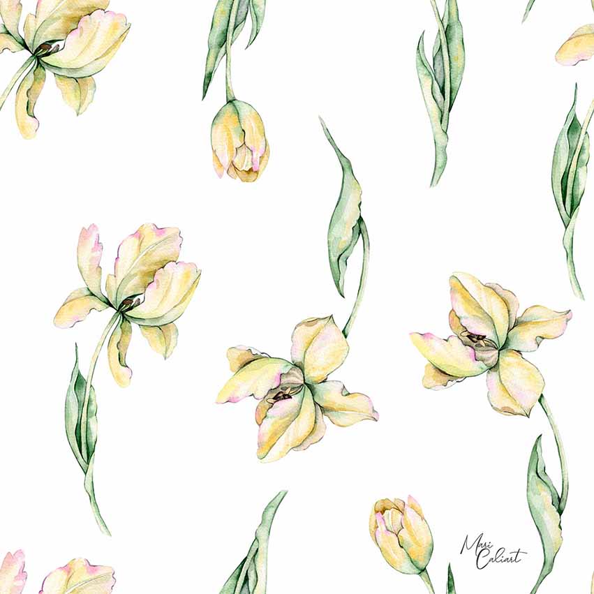 MC – Hydrangea and Tulips Collection 0509as © Mari Caliart