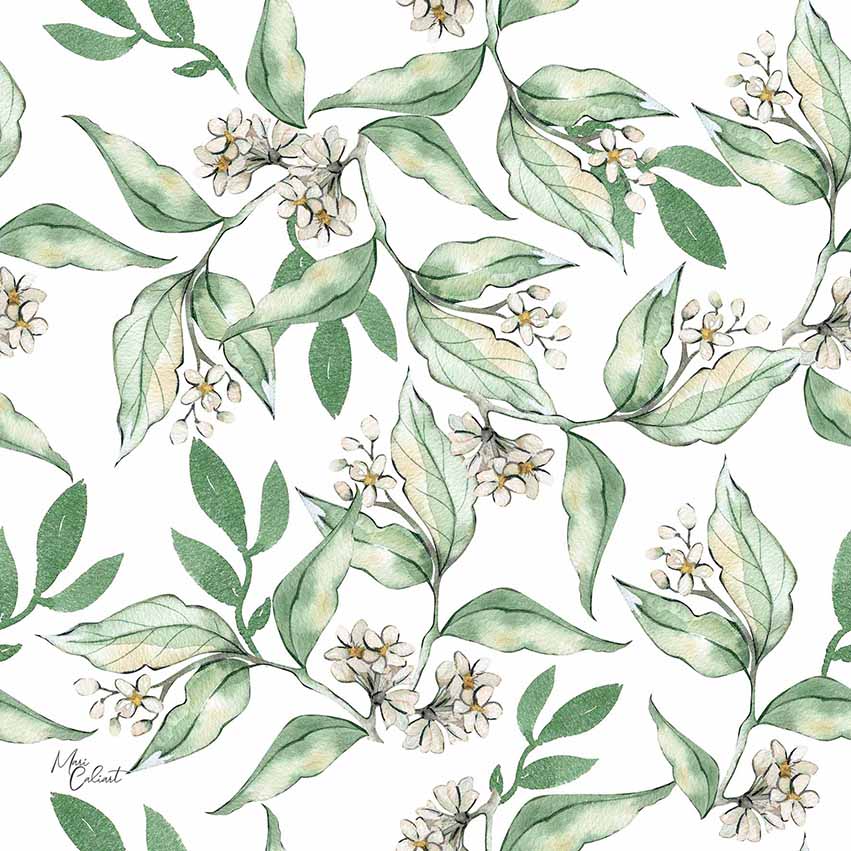 MC – Magnolia and Oranges Collection 0604as © Mari Caliart