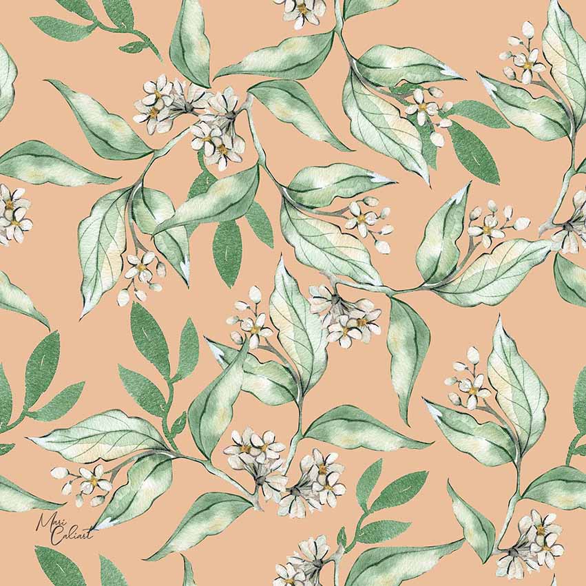 MC – Magnolia and Oranges Collection 0604bs © Mari Caliart