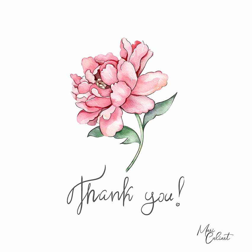 MC – Pink Peony Collection 0900 © Mari Caliart