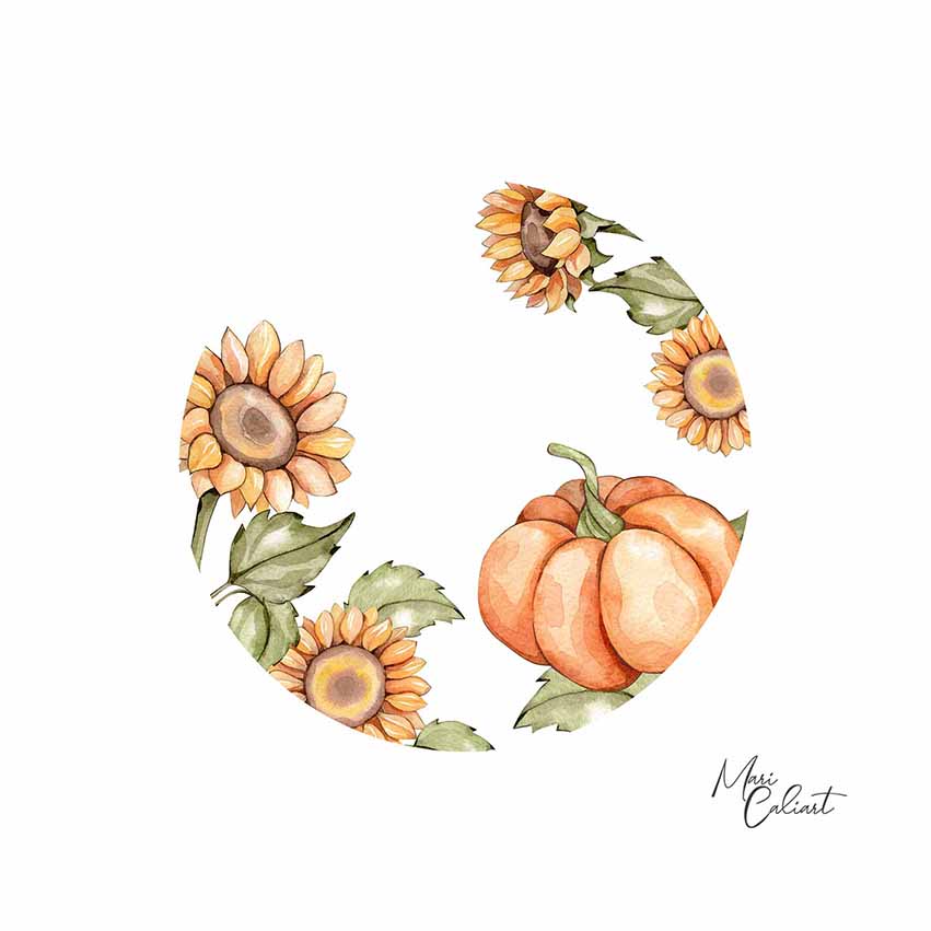 MC – Pumpkin Pie Collection 1804 © Mari Caliart