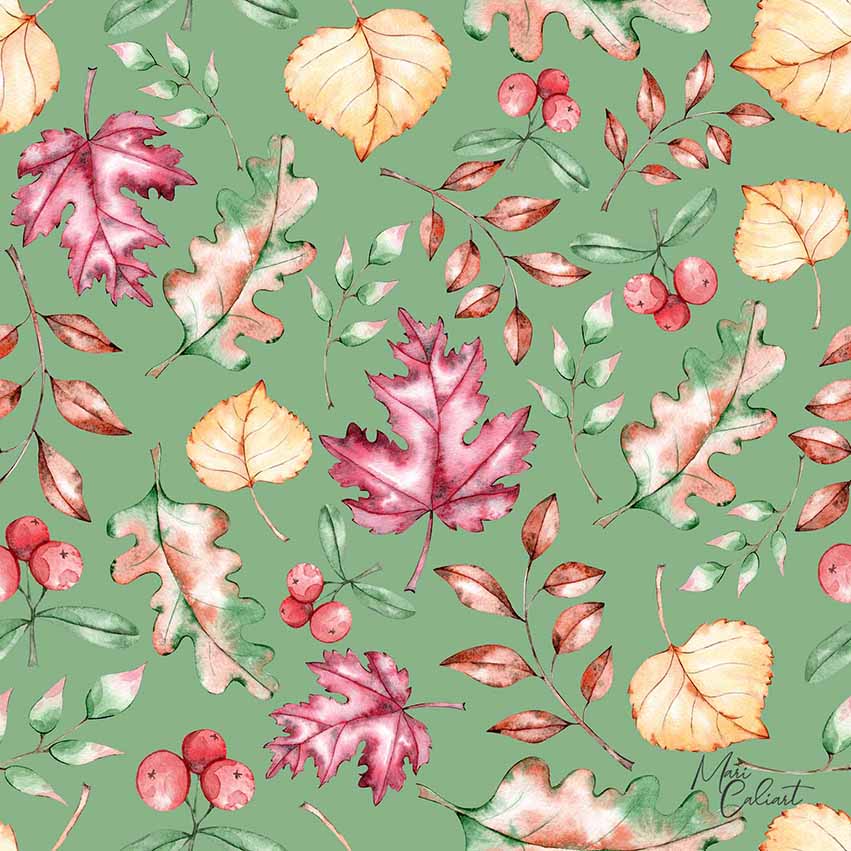 MC – Pumpkins and Leaves Collection 1102bs © Mari Caliart