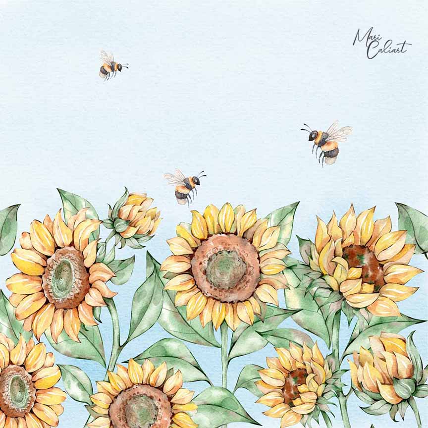 MC – Sunflowers Collection 2812b © Mari Caliart