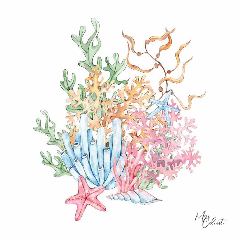 MC – Under the Sea Collection 2603a © Mari Caliart