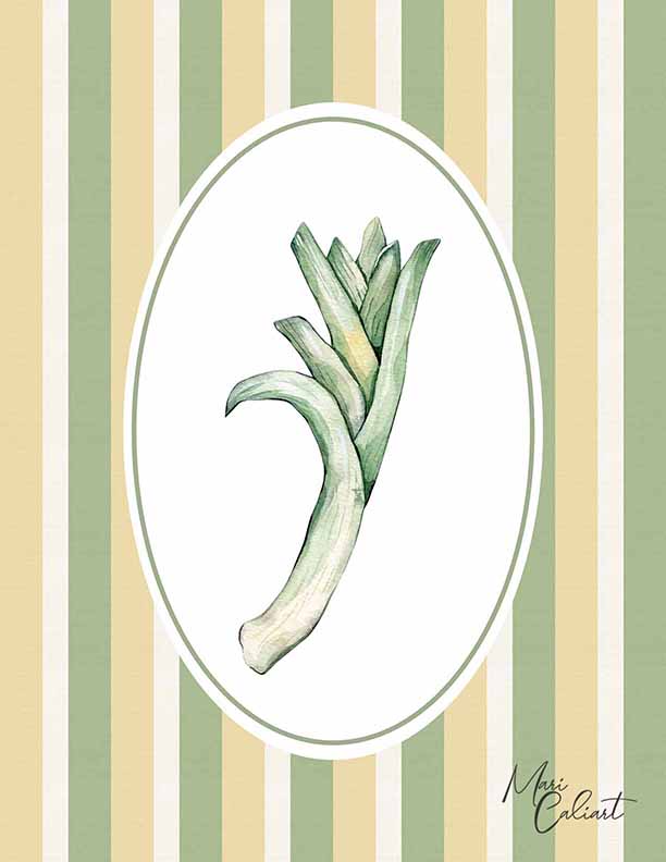 MC – Veggies Collection 1706 © Mari Caliart