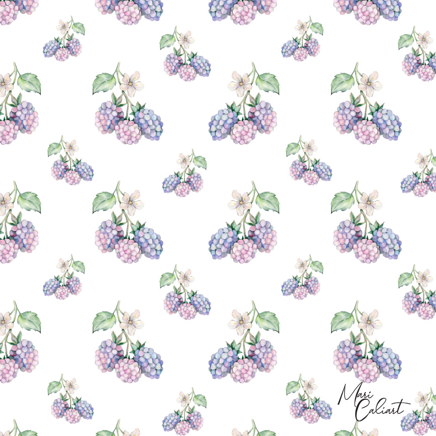 MC – Berry Hedgehog Collection – 1103as © Mari Caliart