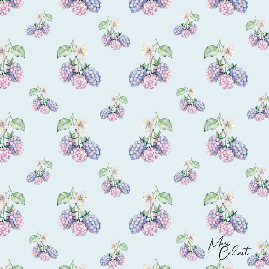 MC – Berry Hedgehog Collection – 1103bs © Mari Caliart