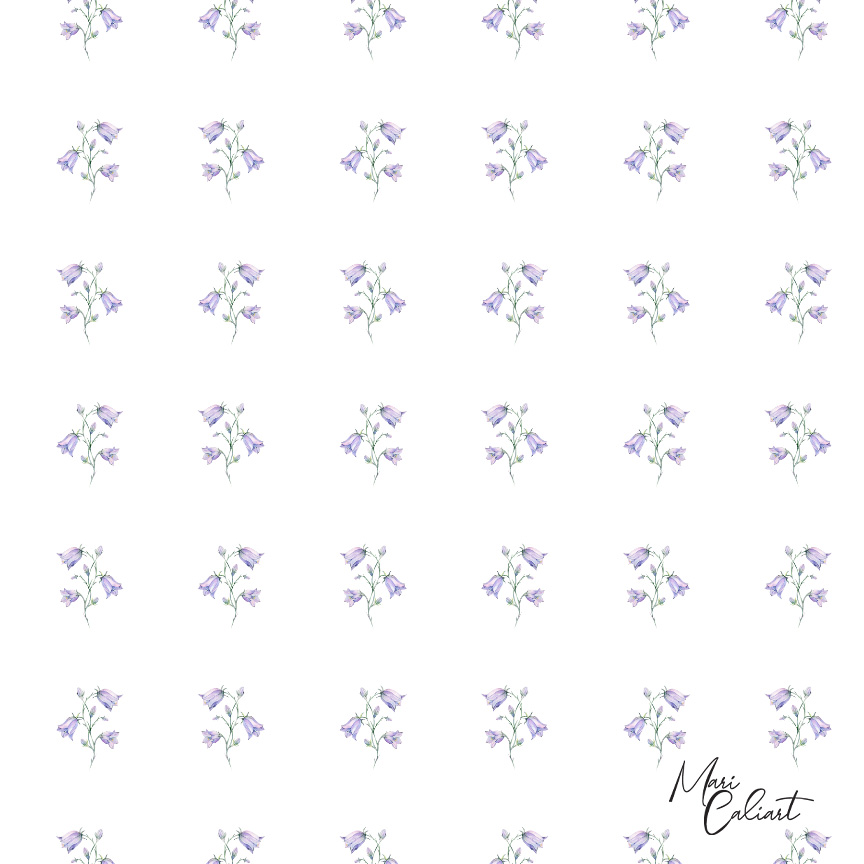 MC – Berry Hedgehog Collection – 110as © Mari Caliart