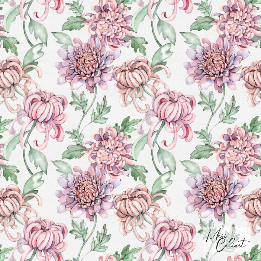MC – Chrysanthemum Collection – 0203as © Mari Caliart