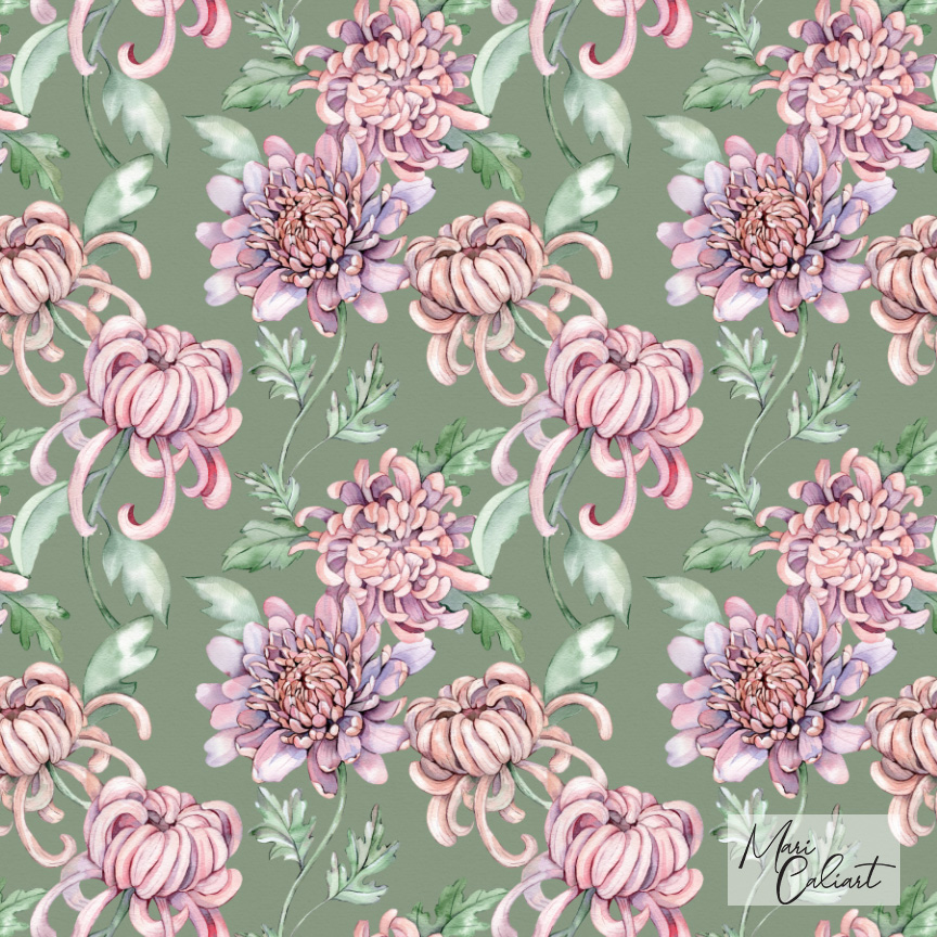 MC – Chrysanthemum Collection – 0203bs © Mari Caliart