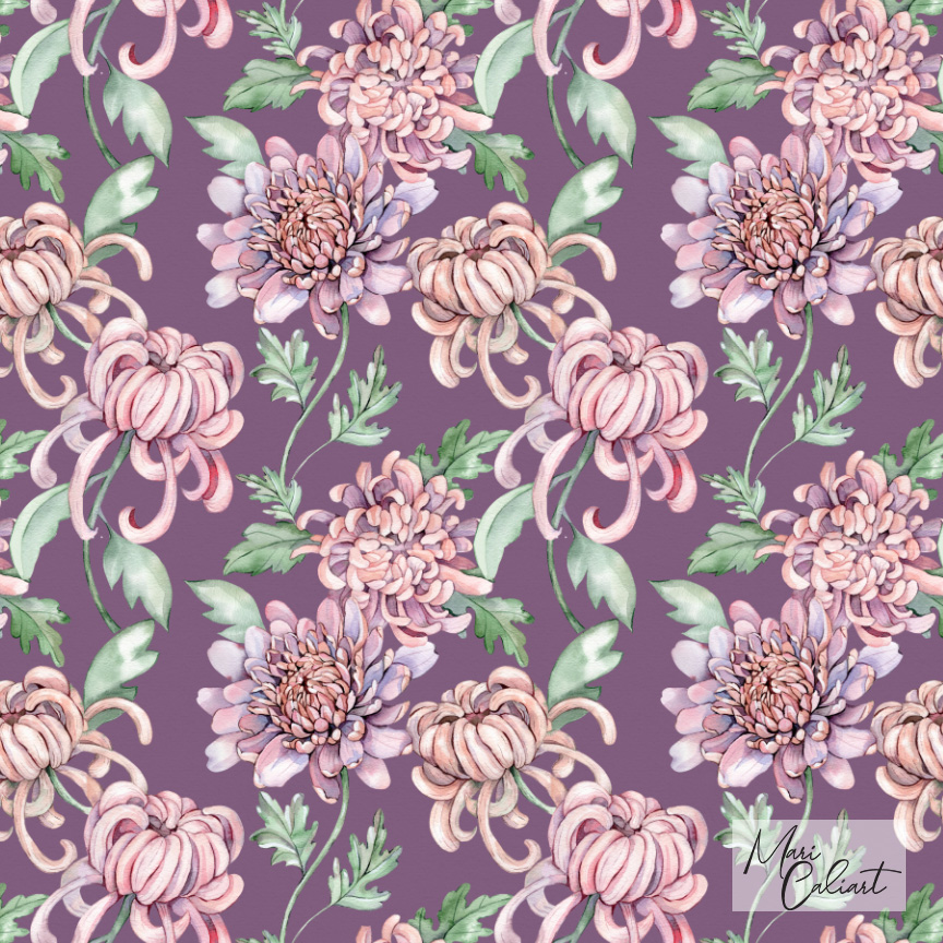 MC – Chrysanthemum Collection – 0203cs © Mari Caliart