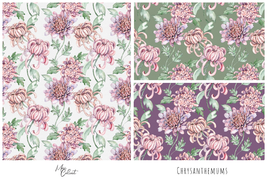 MC – Chrysanthemum Collection © Mari Caliart
