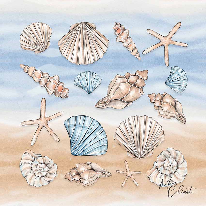MC – Coastal Collection – 2202b © Mari Caliart