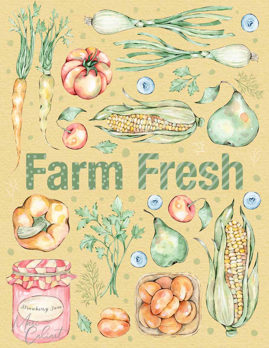 MC – Farmers Market Collection – 2915c © Mari Caliart