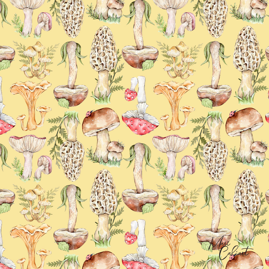 MC – Forest Treasures Collection – 2717bs © Mari Caliart