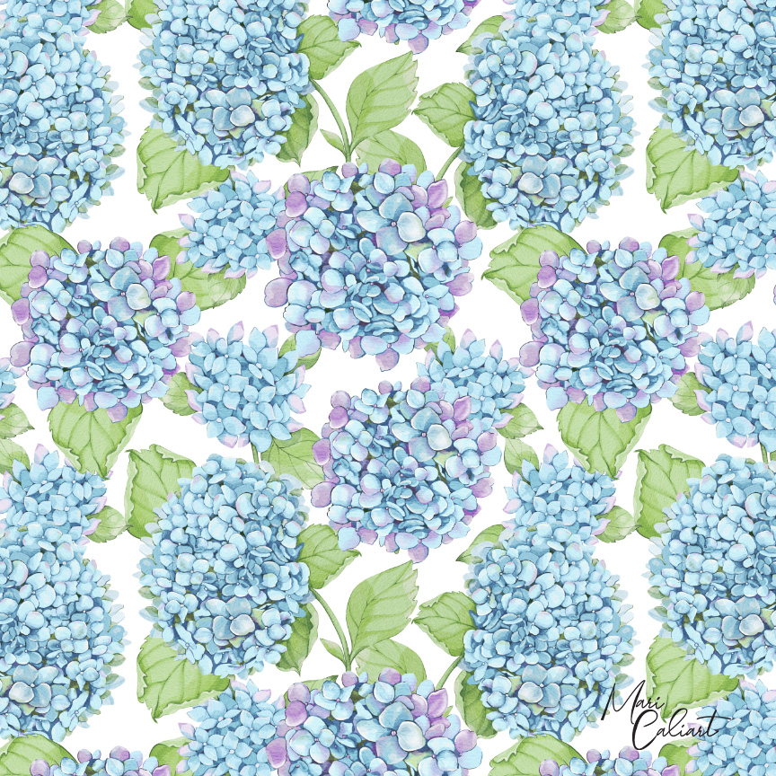 MC – Hydrangea and Iris Collection – 2101as © Mari Caliart